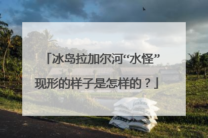 冰岛拉加尔河“水怪”现形的样子是怎样的？