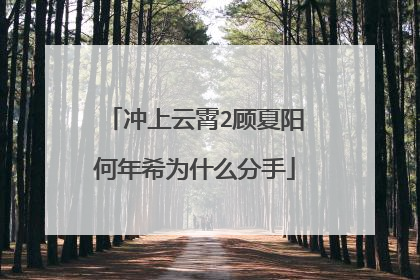冲上云霄2顾夏阳何年希为什么分手