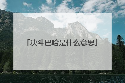 决斗巴哈是什么意思