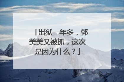 出狱一年多，郭美美又被抓，这次是因为什么？
