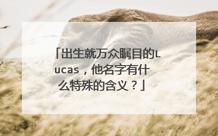 出生就万众瞩目的Lucas，他名字有什么特殊的含义？