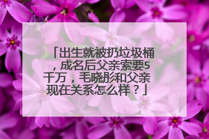 出生就被扔垃圾桶,成名后父亲索要5千万,毛晓彤和父亲现在关系怎么样?