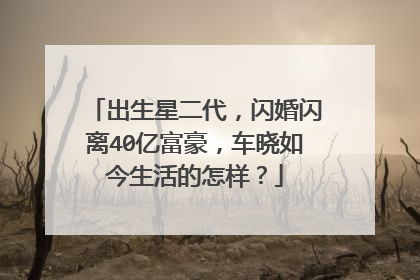 出生星二代，闪婚闪离40亿富豪，车晓如今生活的怎样？