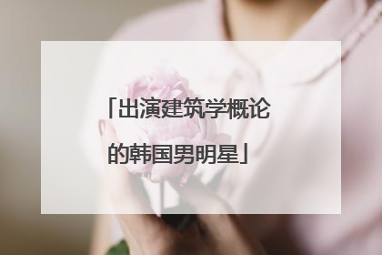 出演建筑学概论的韩国男明星