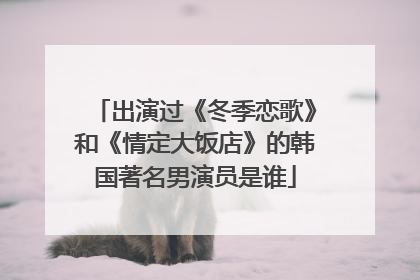 出演过《冬季恋歌》和《情定大饭店》的韩国著名男演员是谁