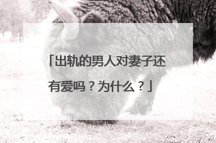 出轨的男人对妻子还有爱吗?为什么?