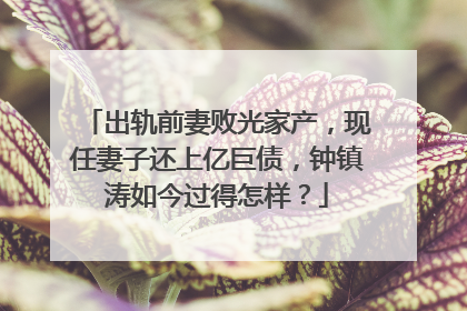 出轨前妻败光家产,现任妻子还上亿巨债,钟镇涛如今过得怎样?