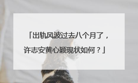 出轨风波过去八个月了，许志安黄心颖现状如何？