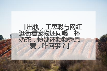 出轨,王思聪与网红逛街看宠物还同喝一杯奶茶,慎婕还频频秀恩爱,咋回事?