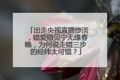 出走央视直播惨淡,错爱撒贝宁无缘春晚,为何说走错三步的经纬太可惜?