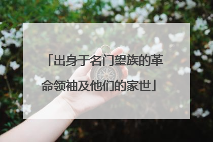 出身于名门望族的革命领袖及他们的家世