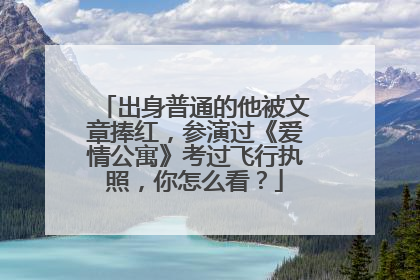 出身普通的他被文章捧红，参演过《爱情公寓》考过飞行执照，你怎么看？