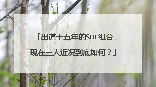 出道十五年的SHE组合，现在三人近况到底如何？