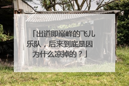 出道即巅峰的飞儿乐队,后来到底是因为什么凉掉的?