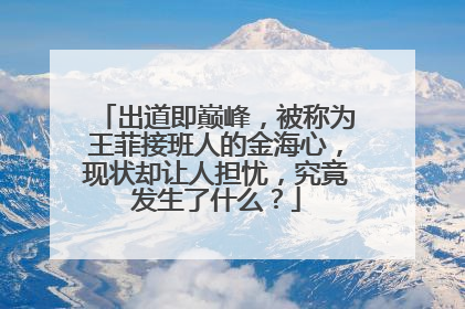 出道即巅峰，被称为王菲接班人的金海心，现状却让人担忧，究竟发生了什么？