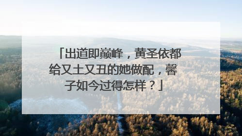 出道即巅峰，黄圣依都给又土又丑的她做配，馨子如今过得怎样？