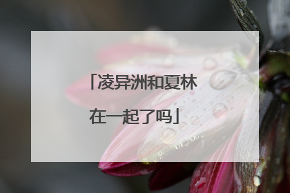 凌异洲和夏林在一起了吗