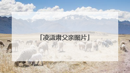 凌潇肃父亲图片