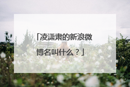 凌潇肃的新浪微博名叫什么？