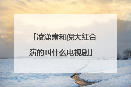 凌潇肃和倪大红合演的叫什么电视剧