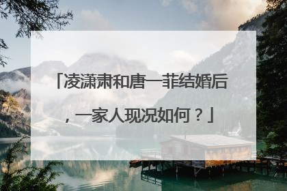 凌潇肃和唐一菲结婚后,一家人现况如何?