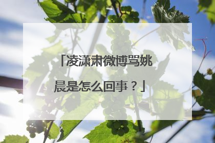 凌潇肃微博骂姚晨是怎么回事？