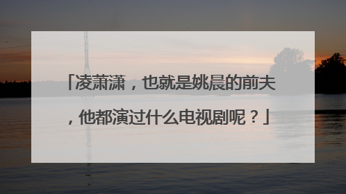 凌萧潇，也就是姚晨的前夫，他都演过什么电视剧呢？