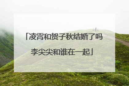凌霄和贺子秋结婚了吗 李尖尖和谁在一起