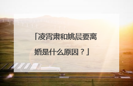 凌霄肃和姚晨要离婚是什么原因？