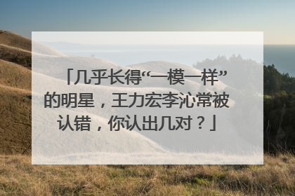 几乎长得“一模一样”的明星，王力宏李沁常被认错，你认出几对？
