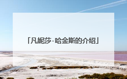 凡妮莎·哈金斯的介绍