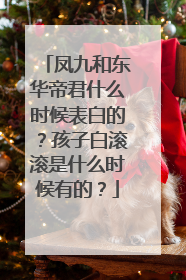 凤九和东华帝君什么时候表白的?孩子白滚滚是什么时候有的?