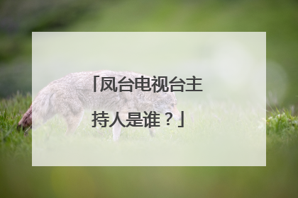 凤台电视台主持人是谁?