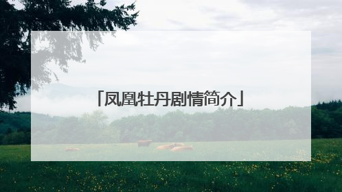 凤凰牡丹剧情简介