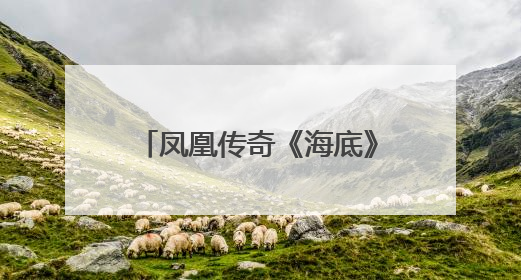 凤凰传奇《海底》全场最低分,为何会出现这样的结果?