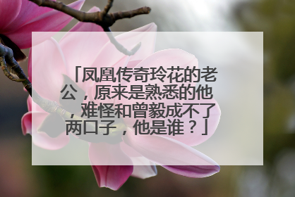 凤凰传奇玲花的老公，原来是熟悉的他，难怪和曾毅成不了两口子，他是谁？