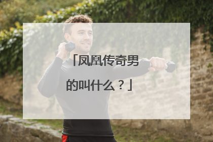 凤凰传奇男的叫什么?