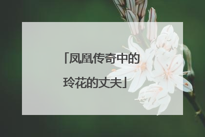 凤凰传奇中的玲花的丈夫