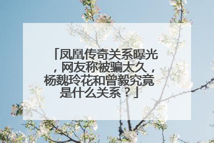 凤凰传奇关系曝光，网友称被骗太久，杨魏玲花和曾毅究竟是什么关系？