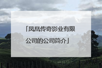 凤凰传奇影业有限公司的公司简介