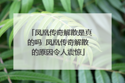 凤凰传奇解散是真的吗 凤凰传奇解散的原因令人震惊