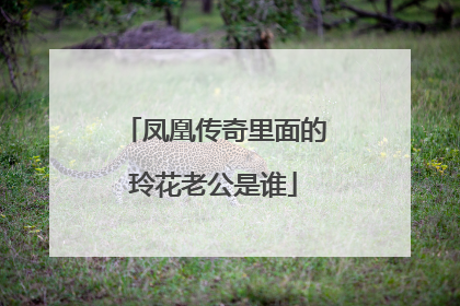 凤凰传奇里面的玲花老公是谁