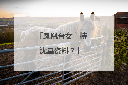 凤凰台女主持沈星资料?