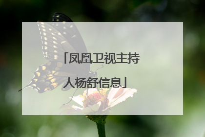 凤凰卫视主持人杨舒信息