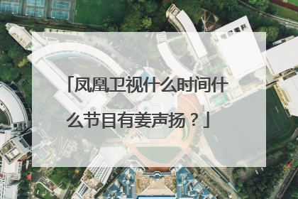 凤凰卫视什么时间什么节目有姜声扬？