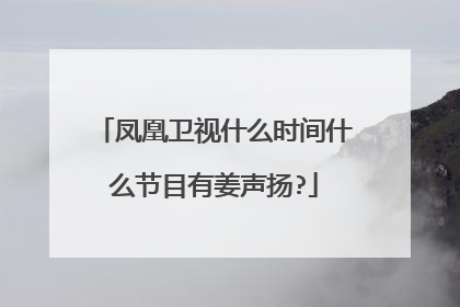凤凰卫视什么时间什么节目有姜声扬?