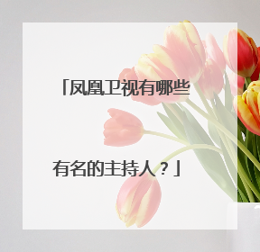 凤凰卫视有哪些有名的主持人?