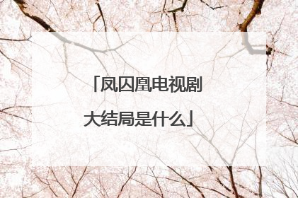 凤囚凰电视剧大结局是什么