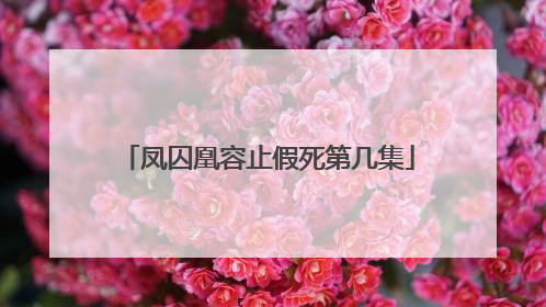 凤囚凰容止假死第几集