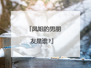 凤姐的男朋友是谁?